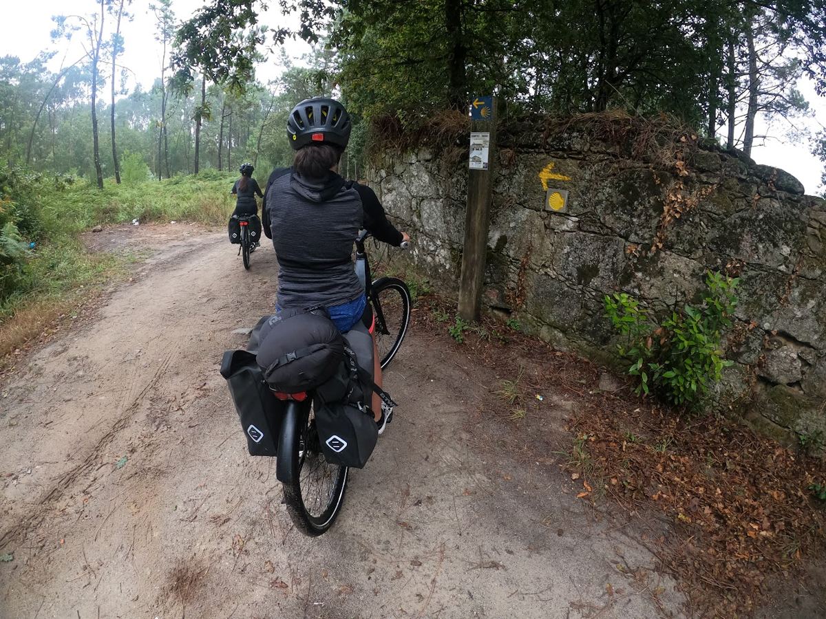 Caminho de terra na floresta com a seta amarela e a vieira do Caminho de Santiago
