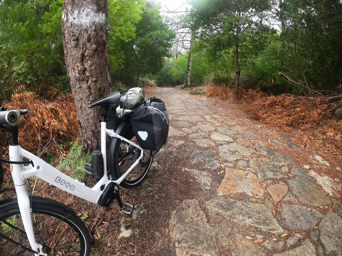 Bicicleta branca encostada a um pinheiro, junto a um caminho de pedra