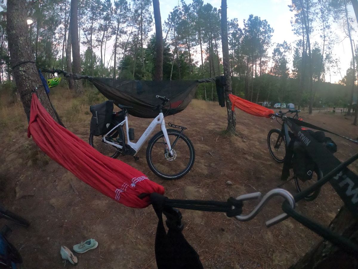 Redes de dormir entre pinheiros num campismo, com as bicicletas ao lado