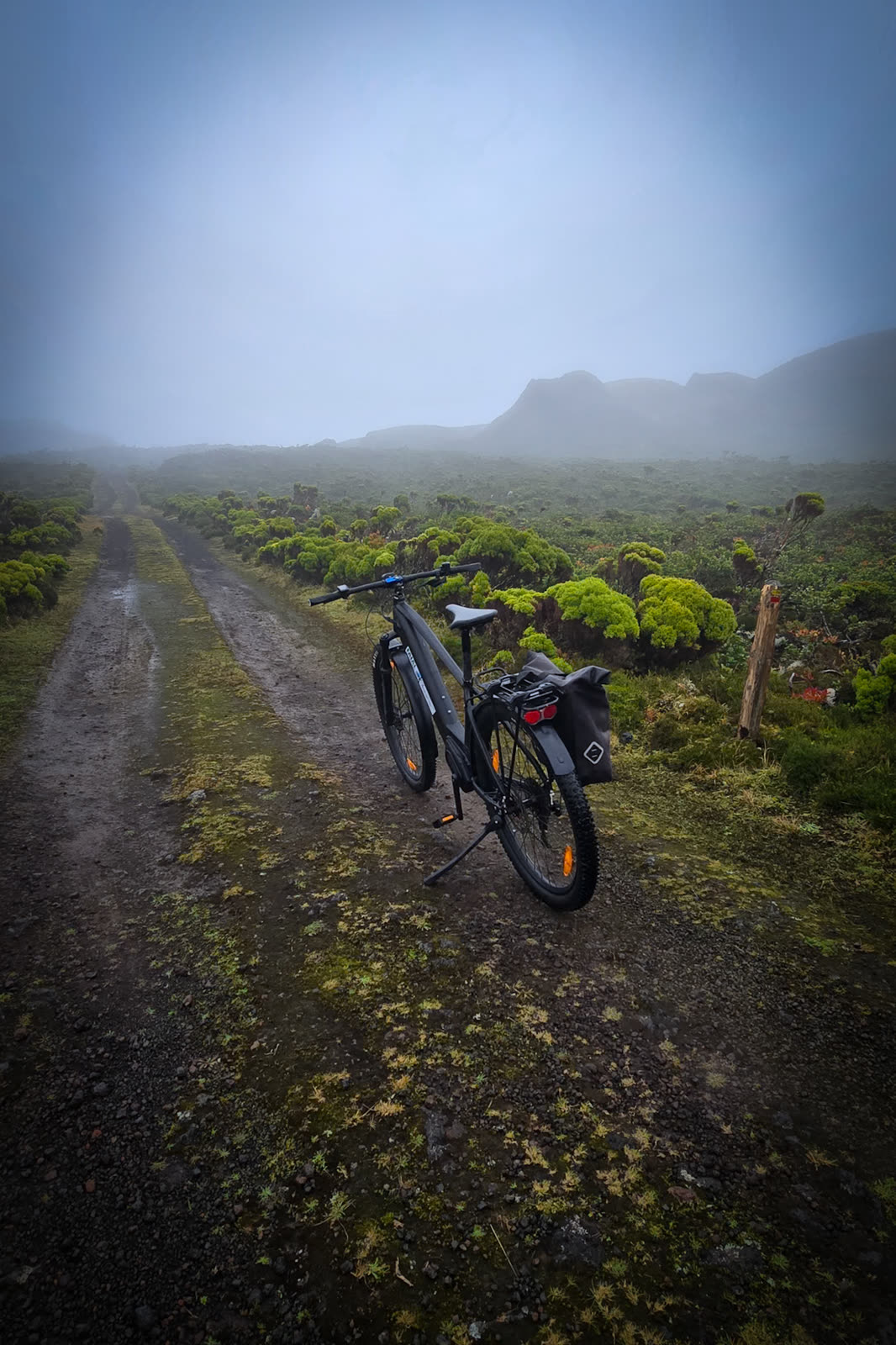 A BEEQ on a dirt track on the plateau, in fog and low vegetation