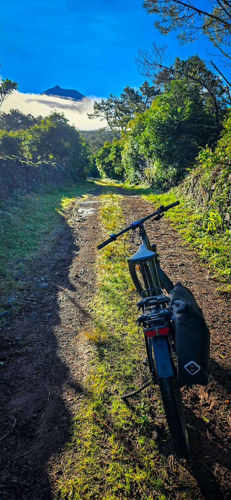 A BEEQ on a dirt track through the trees, with the summit of Pico above the clouds
